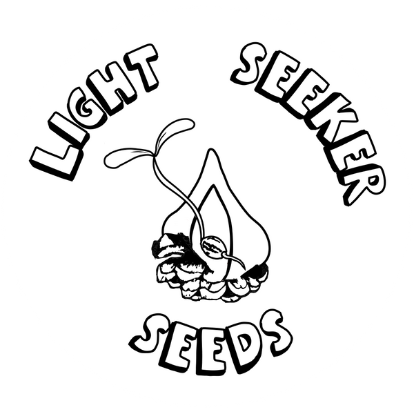 Lightseeker