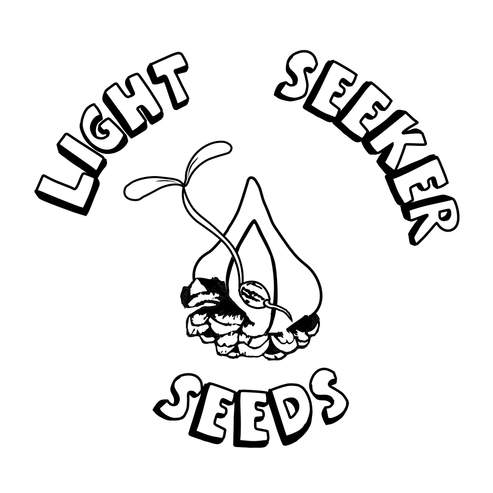 Heartbreaker F2 (Regular) Sunken Treasure Seeds Collab! NEW DROP!