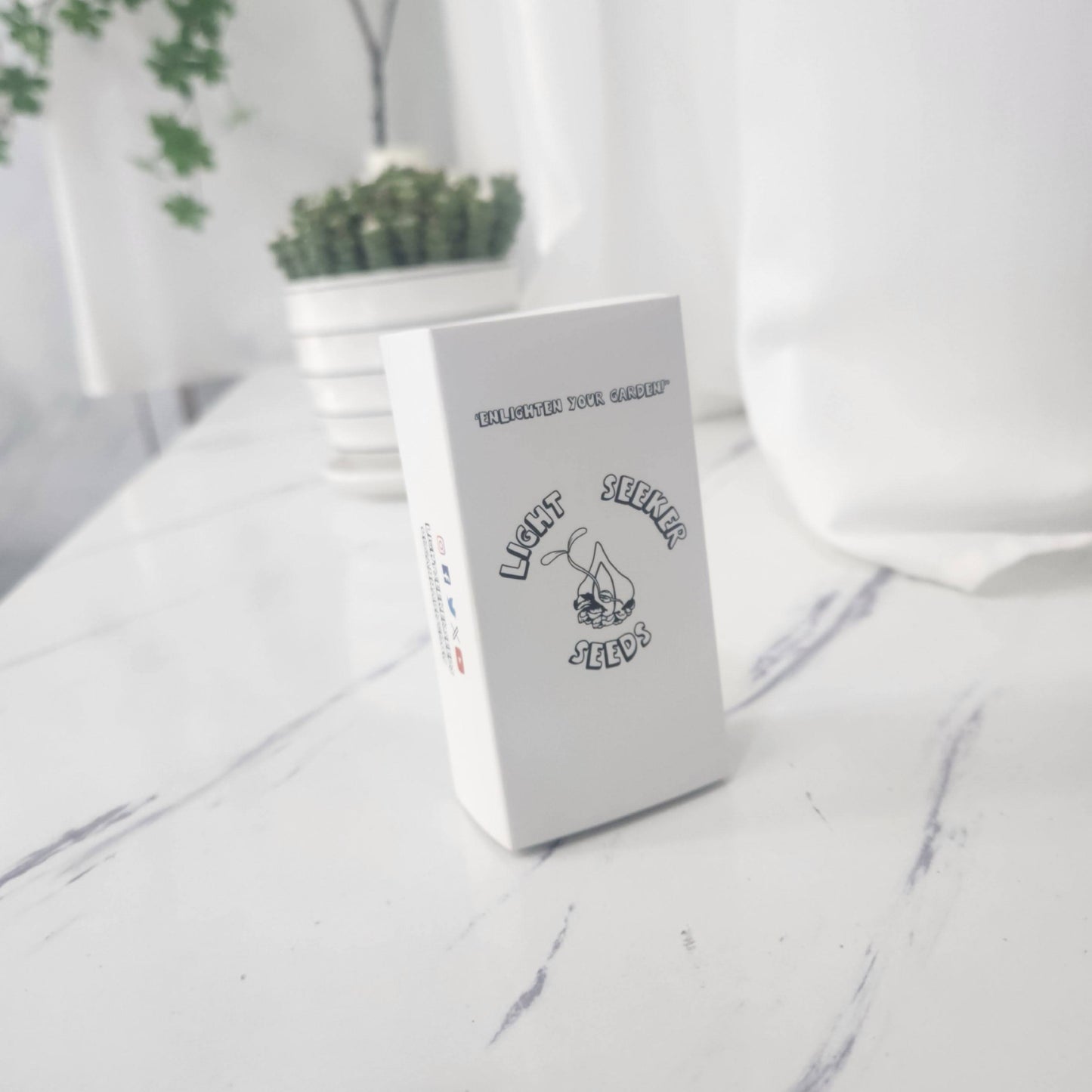 East Coast Sweet Heart F1 (Regular) NEW DROP