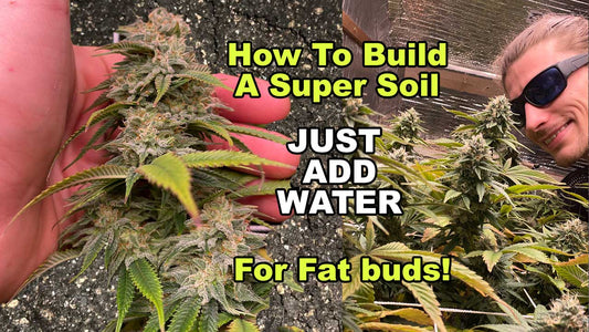 How To Build A Super Soil Just Add Water For Fat Organic Buds