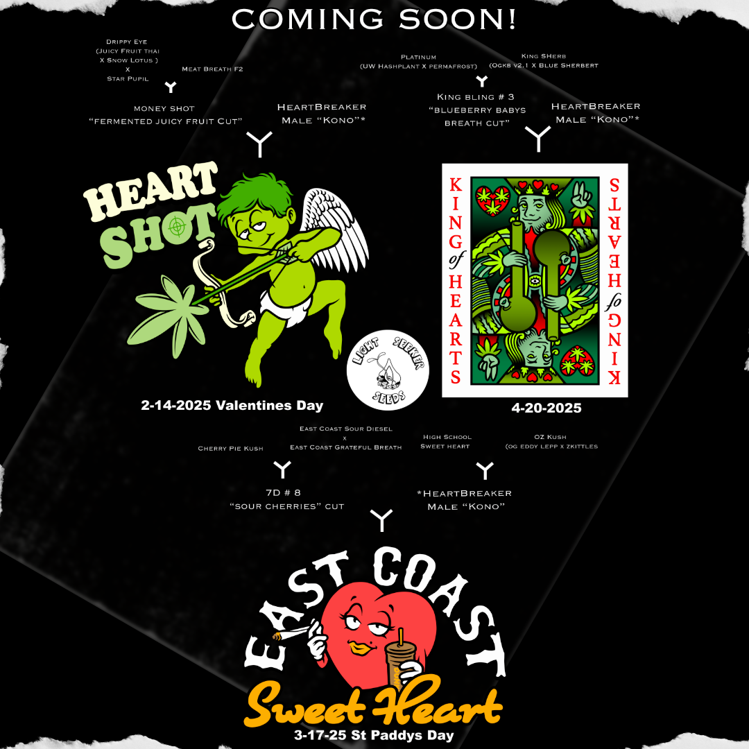 King of hearts, east coast sweet heart, heart shot 