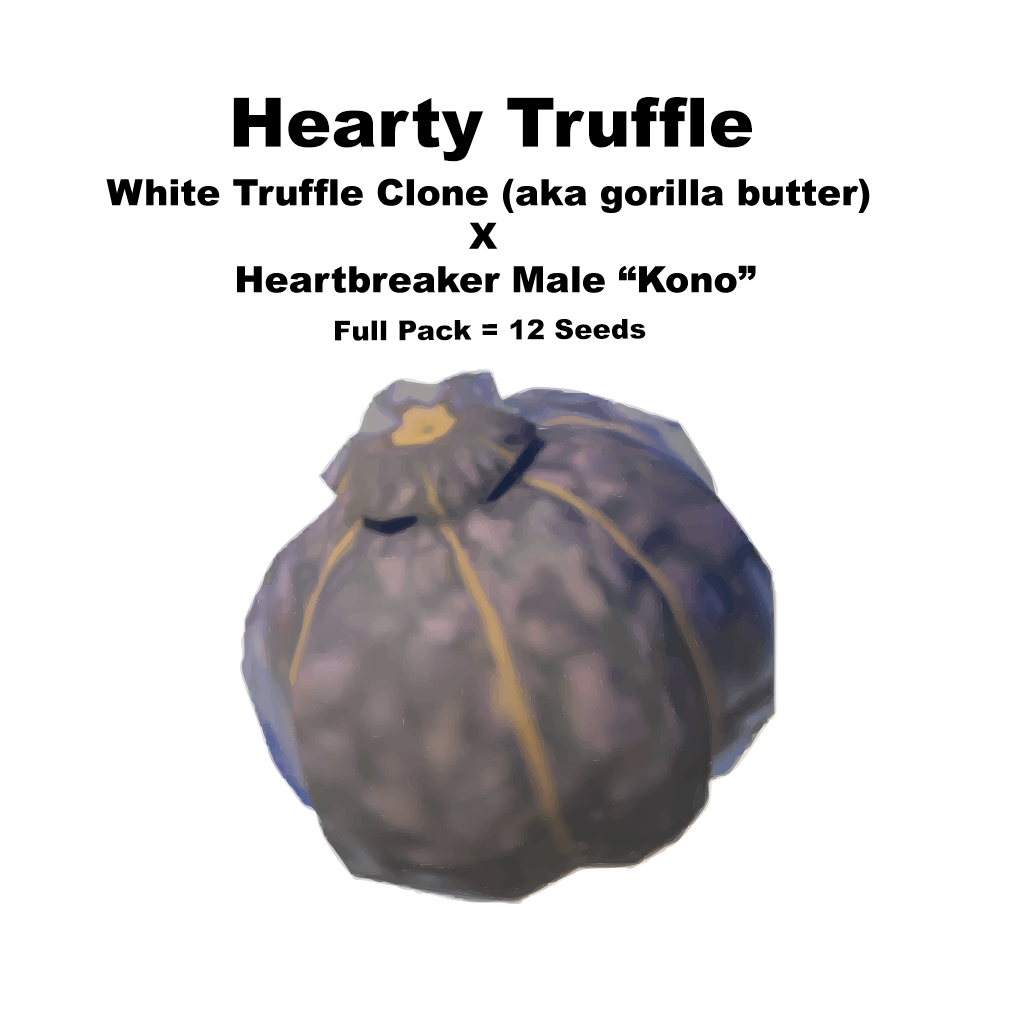 Hearty Truffle (Regular) Untested* NEW DROP! – Lightseeker