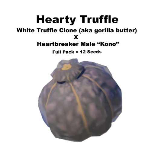 Hearty Truffle Strain 